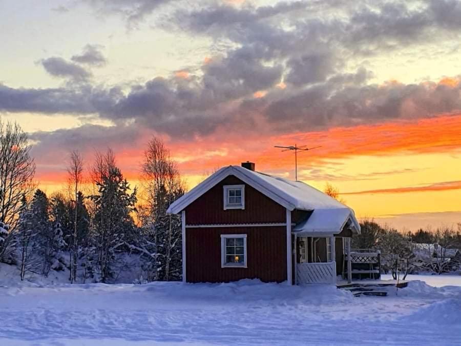 Guesthouse Ojebyn Bagian luar foto